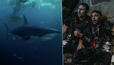 Netflix’s new thriller is a massive hit, with fans and critics calling it “one of the best shark movies ever made” and even comparing it to Jaws