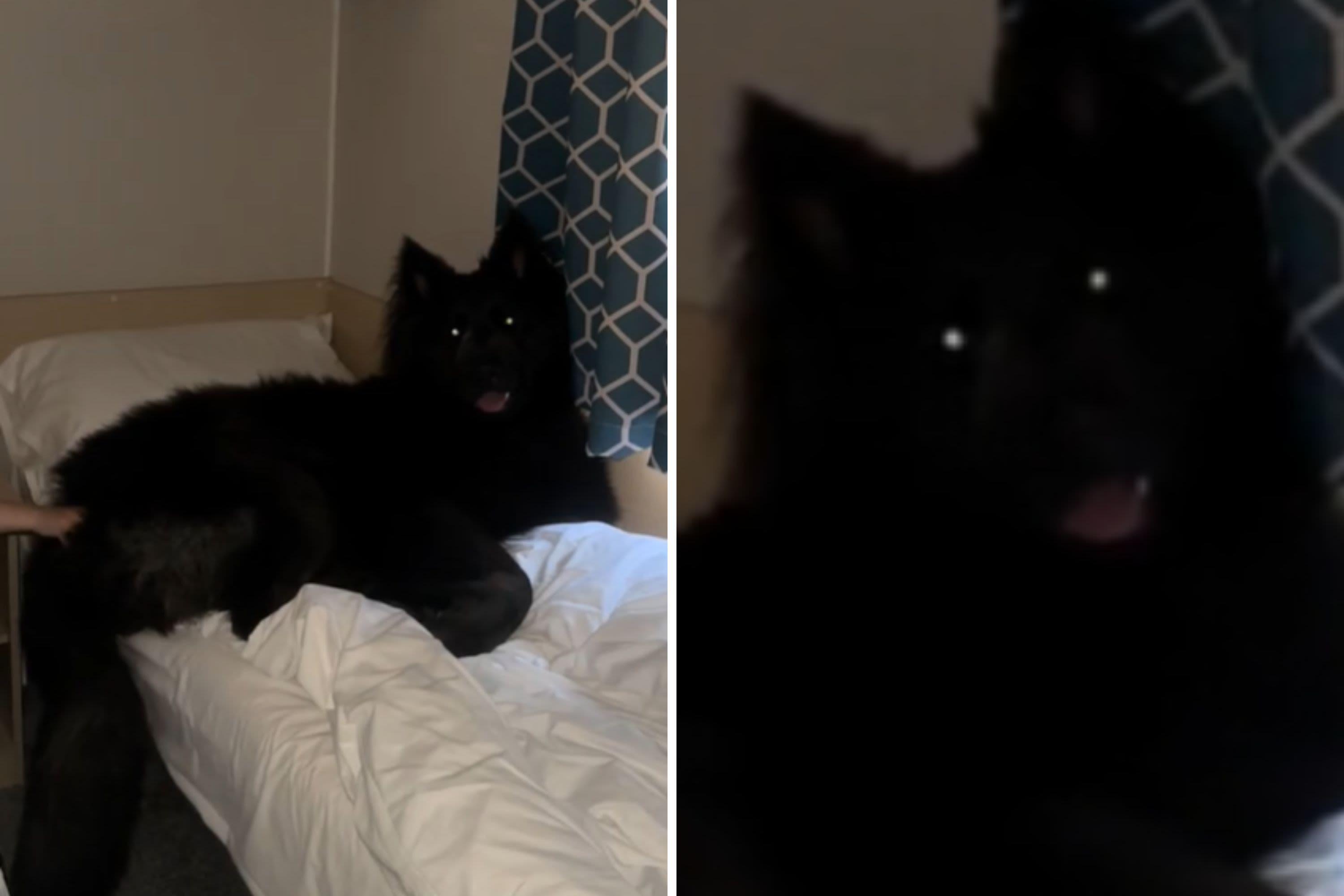 Mom shares cute video of kid, internet distracted by "monster" on the bed