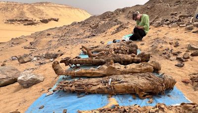 Excavators studying ancient Egyptian tombs discovered that even the ultra-wealthy suffered from disease and malnutrition