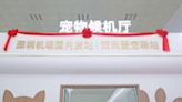 超貼心！深圳機場推出首座寵物候機室 貓狗分離還控制溫濕度