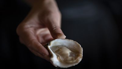 Shuck, slurp, repeat: Exploring Nova Scotia’s oyster trail