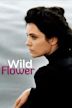 Wild Flower