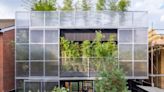 Environmentally friendly ‘domestic greenhouse’ crowned house of the year