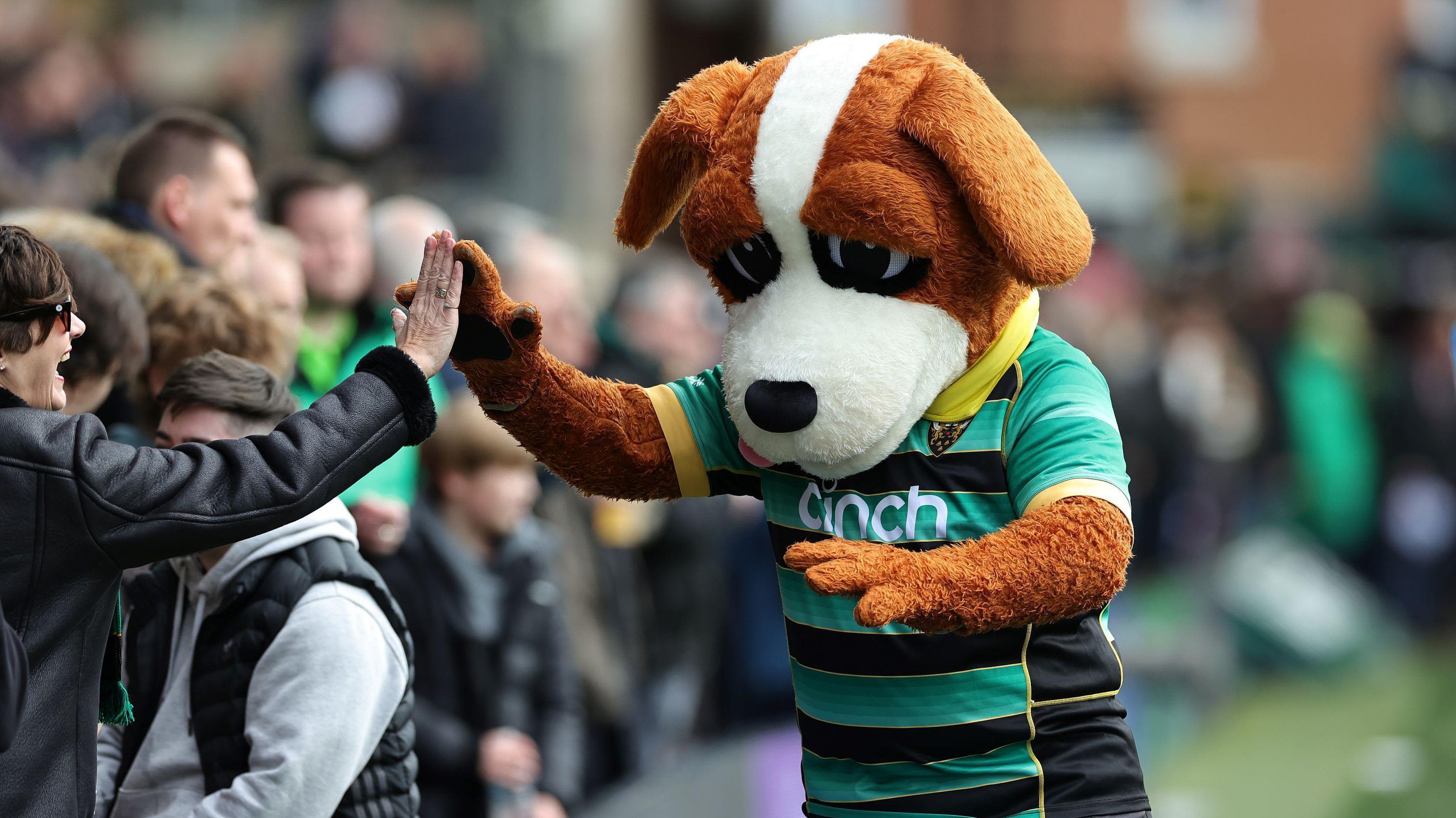 Rugby club on the hunt for new hot dog mascot