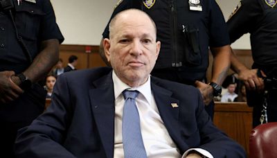 Harvey Weinstein Pleads Not Guilty to New Sex Crime Charge in New York