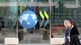 Debate por gobernanza del SII: informe OCDE revela que mayoría de países tiene una autoridad tributaria unipersonal y que rinde cuentas a la autoridad política | Diario Financiero