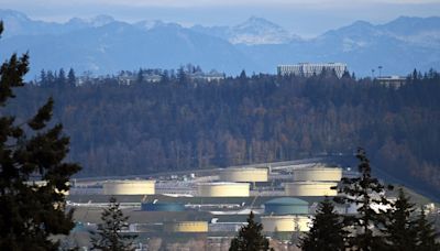 Federal Greens condemn Trans Mountain deal, say it 'silences' City of Burnaby