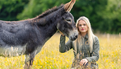 RSPCA warns 1 in 5 people in the North East have seen animal cruelty online