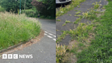 Redcar and Cleveland residents frustrated over grass cut delays