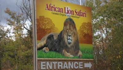 Senators reject field trip to African Lion Safari amid elephant bill study