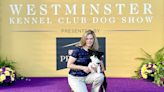 Maryland Border Collie mix ‘Nimble’ steals the show at Westminster’s dog agility competition - WTOP News