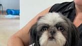 The Animal Shelter Society Shines a Light on Little Lilly - WHIZ - Fox 5 / Marquee Broadcasting