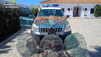 Investigada una persona por la captura ilegal de 100 aves fringílidas en Jerez