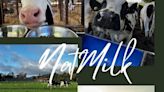 NotMilk vs. NatMilk: el conflicto marcario de NotCo con un agricultor lechero de Renaico - La Tercera