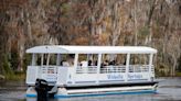 New Wakulla Springs boat enhances wildlife viewing during river cruise