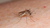 West Nile virus detected in Lake County mosquitoes