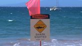 Large Tiger shark spotted swimming off Waimanalo Beach Park