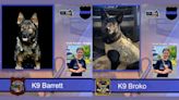 2 fallen Connecticut K-9s to be honored in DC memorial service