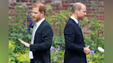 Princes William and Harry praise Diana’s legacy at London event - Boston News, Weather, Sports | WHDH 7News