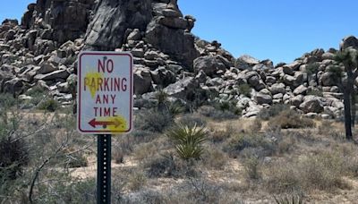 German tourists deface Joshua Tree National Park in paintball and slingshot shooting rampage