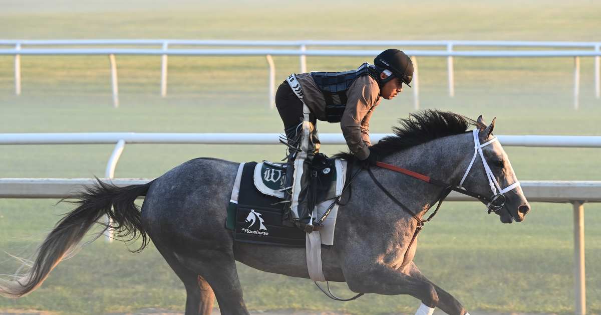 Seize The Grey 'On His Toes' For Jim Dandy