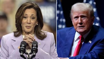 Trump rips Kamala Harris' 'laugh of a crazy person' and wants her sketch artist