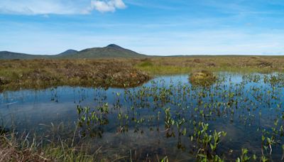 Remote peatland granted world heritage status