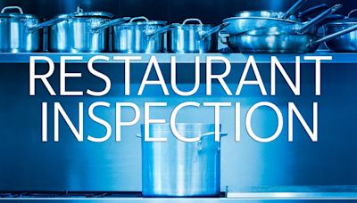 Drain flies and unapproved pesticides among issues cited at St. Clair County restaurants