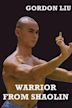 Warrior From Shaolin