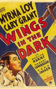 Wings in the Dark