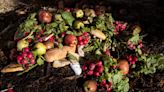 How bad is food waste in the US? New study reveals problem and what you can do.