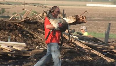 Chicago weather: 4 animals die in north suburban barn collapse, other severe storm damage reported