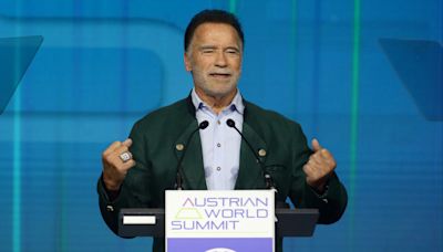 Arnold Scwarzenegger calls for 'action' in tackling climate change