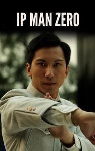 The Legend Is Born: Ip Man