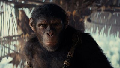 The Kingdom of the Planet of the Apes Delivers Franchise's Second-Best Box Office Opening