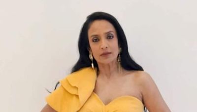 Suchitra Pillai Recalls Being Scolded By Farhan Akhtar Because Of Saif Ali Khan During Dil Chahta Hai Shoot - News18