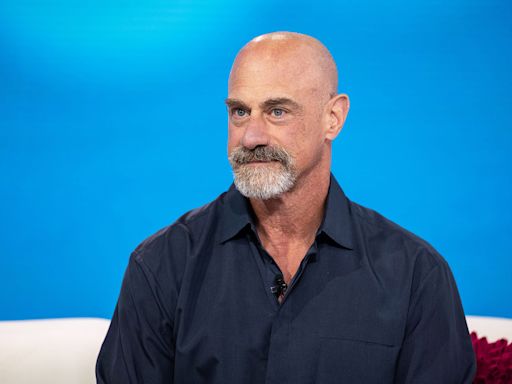 Chris Meloni says family member's 1st signs of Lyme disease were confused for stomach flu