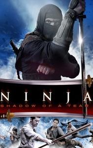 Ninja: Shadow of a Tear