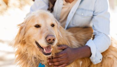 It’s Brutus, Not Bruno! The Etiquette of Remembering Your Friends’ Pets’ Names.