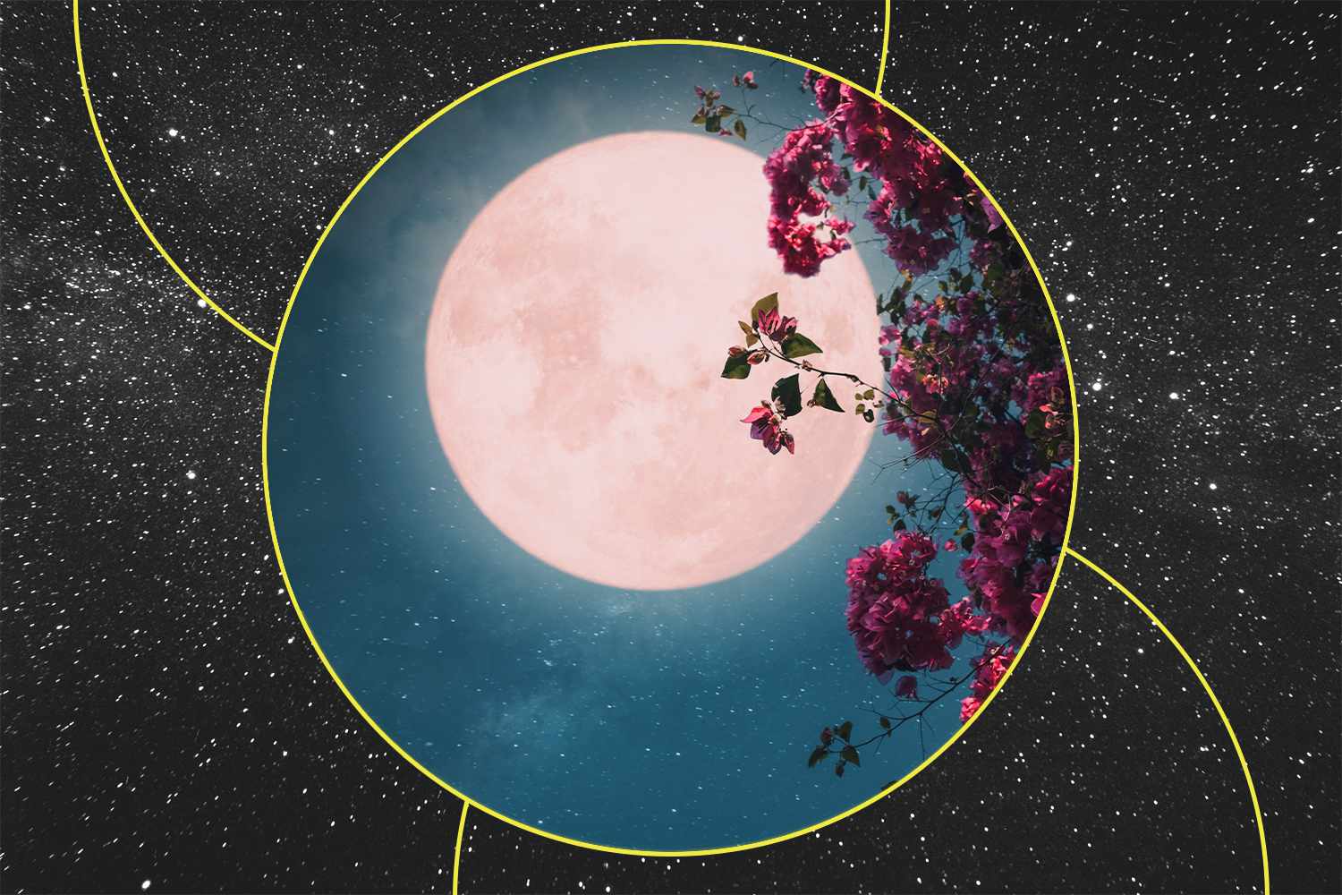 All About May's New Moon and What It Means for Your Zodiac Sign