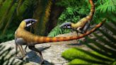 Puny critter shows humble beginnings of magnificent flying reptiles