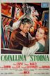 Cavallina storna