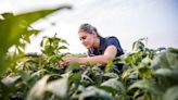 Syngenta extends leadership in fungicides with ADEPIDYN® technology