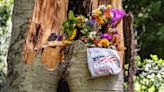 Biltmore hotel: not responsible for tree that killed FDNY firefighter; seeks dismissal