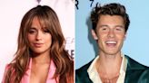 Camila Cabello Seemingly Hints at Shawn Mendes Coachella Kiss on New Song