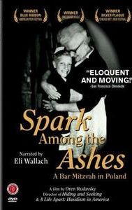 Spark Among the Ashes: A Bar Mitzvah in Poland