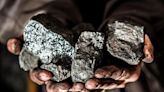 India Aims to Lead in Sustainable Critical Minerals Production: Hindustan Zinc Chairperson