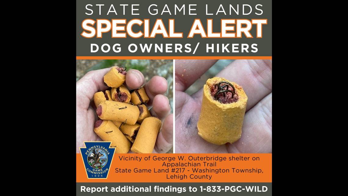 Dog treats stuffed with fishhooks found along Appalachian Trail, PA officials warn