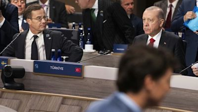 Turkey's Erdogan warns against NATO-Russia conflict