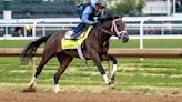 Kentucky Derby 150 favorite Fierceness must overcome winless post No. 17